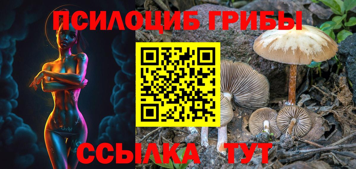 Волгодонск  где купить наркоту  Вход с VPN  Галлюциногенные грибы MAGIC MUSHROOMS 